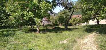 Torpaq sahələrinin satışı: 10 sot, Tikinti, Mülkiyyətçi, Kupça (Çıxarış) — 15