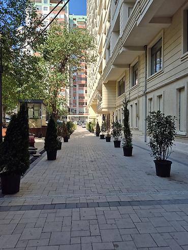 Mənzil kirayələyirəm: Nərimanov rayonu | Əliəşrəf Əlizadə küçəsi | Nərimanov metrosu | 2 — 7