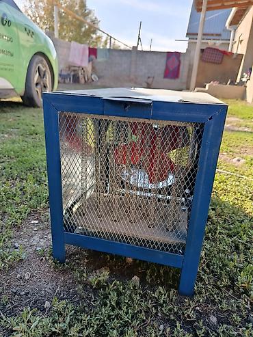 Тепловые пушки: Тепловая пушка Электрическая, более 2000 Вт, Отключение при перегреве — 4