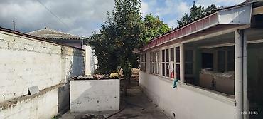 1 hektar torpaq satilir: 3 otaqlı, 40 kv. m — 5
