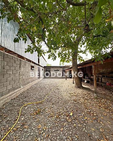 советский скрябина: 🏠Продается дом в с. Беловодское Нижняя зона, от трассы - 200м 🟡Дом — 4