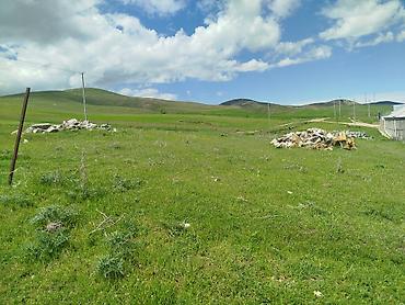 novxanı torpaq: 17 sot, Tikinti, Mülkiyyətçi, Kupça (Çıxarış) — 6