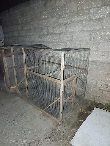 большая клетка для кролика: Torbadan hasarlı, taxta karkaslı iki mərtəbəli qəfəs - Material — 3