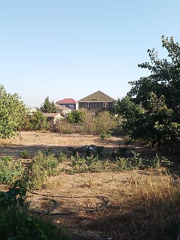 mingecevirde torpaq satisi: 10 sot, Tikinti, Mülkiyyətçi, Kupça (Çıxarış) — 3
