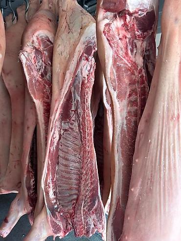 Свинина: СВИНИНА ОПТОМ В ПОЛУТУШАХ - Прямая поставка свежей продукции. - — 7