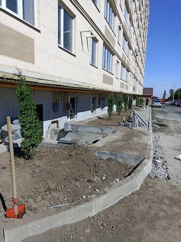 Декоративные деревья: Продаются декоративные хвойные растения 🌿🌲 Мы имеем большой опыт — 5