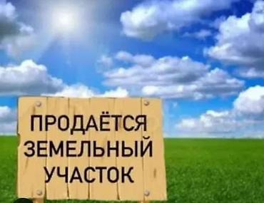 1 bedroom: 8 соток, Для строительства, Красная книга — 1