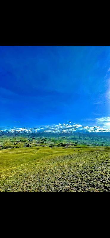 Продажа участков: 5 соток, Для строительства — 14