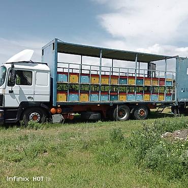 мобильный азс: Грузовой автомобиль MAN с прицепом, переделанный под кочевую пасеку — 2