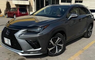 Lexus: Lexus NX: 2021 г., 2.5 л, Вариатор, Гибрид, Кроссовер