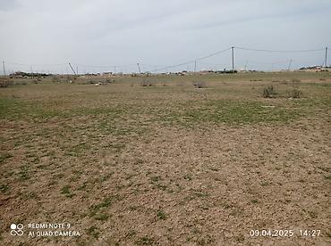 torpag satilir: 12 sot, Tikinti, Mülkiyyətçi, Kupça (Çıxarış) — 6