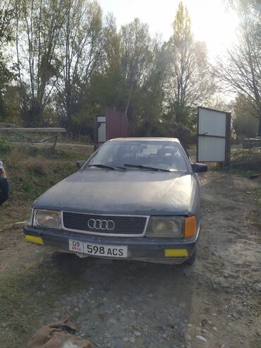 капот на одисей: Audi 100: 1990 г., 1.8 л, Механика, Бензин, Седан