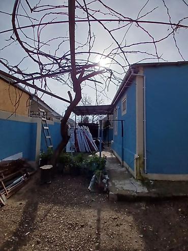 aşağda: 3 otaqlı, 140 kv. m — 6