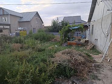Жер тилкелери: 4 соток, Курулуш, Кызыл китеп — 1