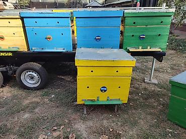 Пчелиные ульи 16 рамок с магазином 7 шт . Цена договорная