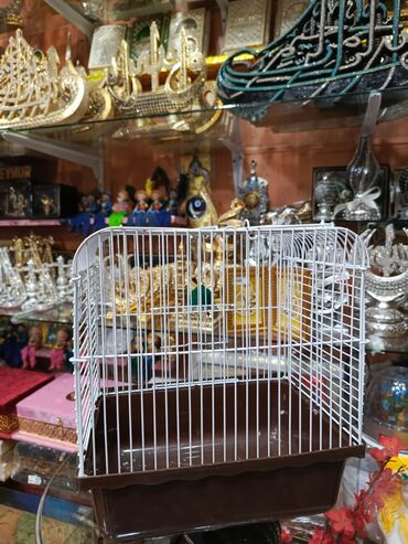 Dovşanlar: Dovşan yemləri Sadə və vitaminli topdan qiyməti Sadə yem 1.50azn — 5