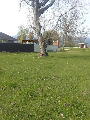 oğuz ev: 10 sot, Tikinti, Kupça (Çıxarış) — 4