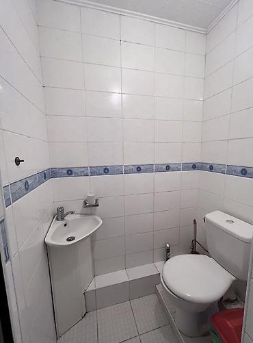 Долгосрочная аренда домов: 256 м², 9 комнат — 20