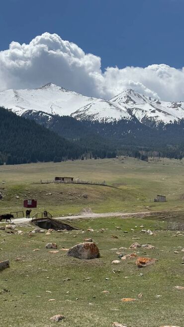 2 дневные туры алматы: Туры по всему Кыргызстану.ДВУХ-ДНЕВНЫЙ ТУР. Двухдневный тур вокруг