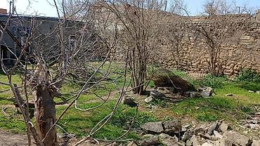 Torpaq sahələrinin satışı: Tikinti — 1