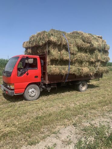 ангуз уй: 1укос с доставкой Беловодск Карабалта сокулук