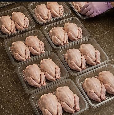 козлу кой: Перепелиная продукция KUSH KG 🐦 ПРИНИМАЕМ ЗАКАЗЫ 🥚 Перепелиные яйца — 2