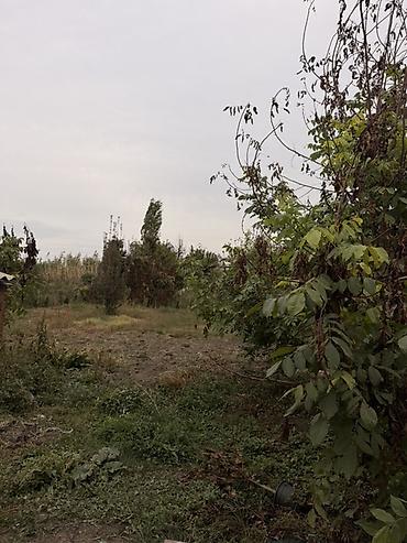 Үй сатып алам: 4 бөлмө, 80 м², 13 соток, Ак-Жол, Менчик ээси — 5