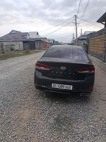 sonata 2012: Hyundai Sonata: 2019 г., 2 л, Автомат, Газ, Седан — 4