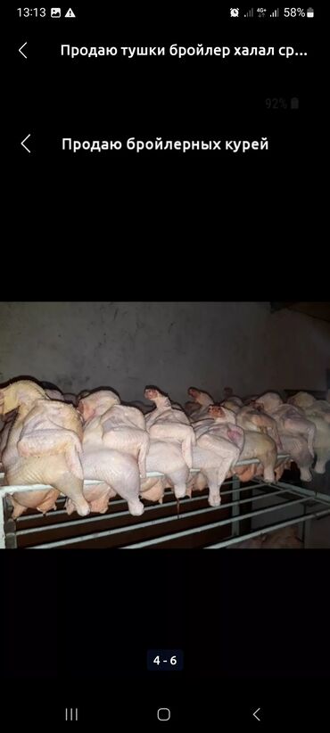 Птица: Бройлер :, 2 кг, 3 кг — 3