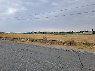 rusyada: 360 sot, Tikinti, Kupça (Çıxarış) — 5