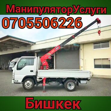 сокулук селекция: Манипулятор