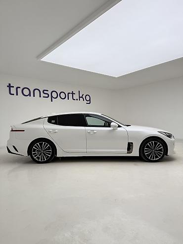 Kia: Kia Stinger: 2019 г., 2.2 л, Автомат, Дизель, Хэтчбэк — 21