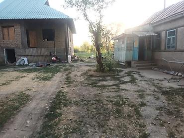 Продажа коттеджей и домов: Продаётся дом село Полтавке в одном участке два дома 1ый дом полтора — 8