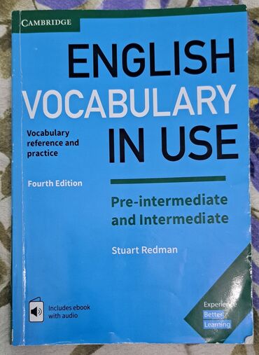 dastan limited edition qiymeti: English Vocabulary in Use Pre-intermediate and İntermediate Fourth