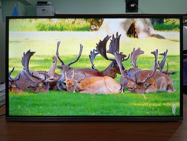 TV Alışı: Yeni Televizor Shivaki Led 32" FHD (1920x1080), Ünvandan götürmə, Ödənişli çatdırılma