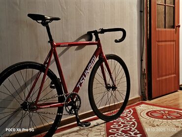 цунами фикс: Шаардык велосипед, Tsunami, Велосипед алкагы L (172 - 185 см), Колдонулган