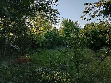 Həyət evləri və villaların satışı: 2 otaqlı, 80 kv. m, Təmirsiz — 12