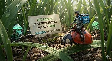 Moto-kuryer tələb olunur, Gündəlik ödəniş, Təcrübəsiz