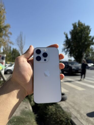 телефон fly: IPhone 13 Pro, Ак