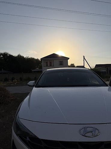 куплю авто каракол: Hyundai Avante: 2020 г., 1.6 л, Автомат, Бензин, Седан — 2