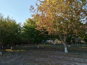 Həyət evləri və villaların satışı: Həyətyanı sahəsi olan daş tikili - Daş divarlı, möhkəm konstruksiyalı — 8