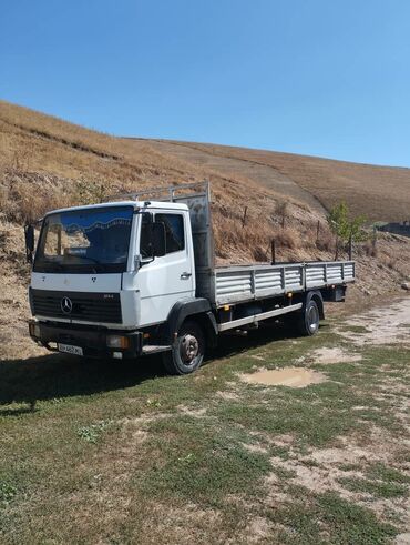 заслонка мерседес: Mercedes-Benz : 1996 г., 6 л, Механика, Дизель, Бус