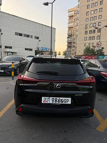 lexus ux250h: Lexus UX: 2020 г., 2 л, Автомат, Бензин, Кроссовер — 5