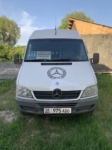 Mercedes-Benz: Mercedes-Benz Спринтер: 2002 г., 2.2 л, Механика, Дизель, Бус