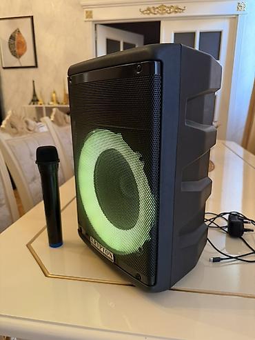 edifer kalonka: Krypton portativ akustik sistemi + simsiz mikrofon - Portativ, güclü — 4