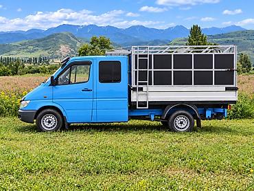 спринтер делфин: Mercedes-Benz Спринтер: 2000 г., 2.2 л, Механика, Дизель, Пикап — 2