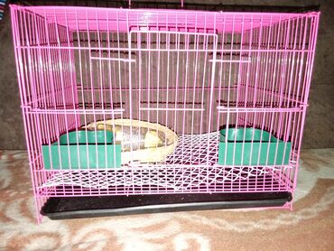 купить клетку для декоративного кролика: Клетки для свинок, хомяков и т.д