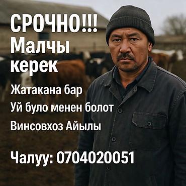 работа биш: Требуется Пастух, Оплата: Ежемесячно, Питание — 1