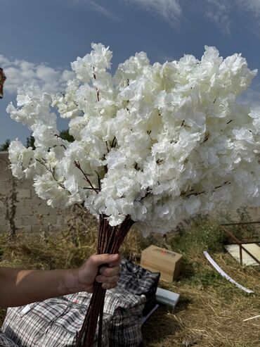 Декоративные цветы: Продаю цветы для оформления Каркасосвещениецветы разныесвечи на — 7