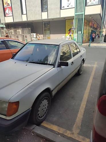 211 рест: Mercedes-Benz W124: 1987 г., 2.3 л, Автомат, Бензин, Седан — 3
